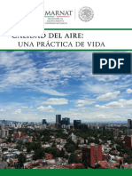 Introducción aire.pdf