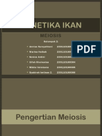 MEIOSIS GENETIKA IKAN