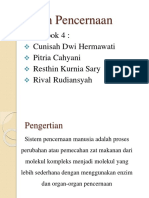 Sistem Pencernaan Manusia