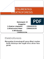 INSTRUMENTASI Elektroforesis