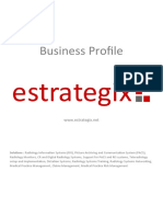Estrategix - Business Profile