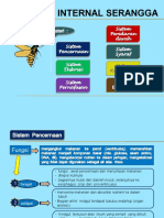 Organ Pencernaan dan Ekskresi Serangga