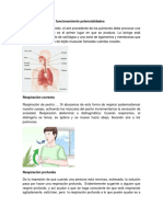 Aparato Fonador y Su Funcionamiento Potencialidades