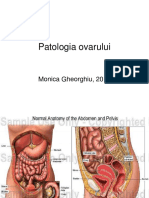 patologia-ovarului