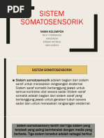 Sistem Somatosensorik: Nama Kelompok