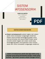 Sistem Somatosensorik: Nama Kelompok