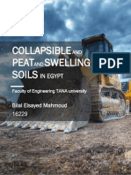 Collapsible Peat Swelling Soils: in Egypt