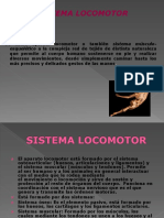 APARATO LOCOMOTOR Diapositiva