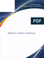 DCH Laboral Individual PDF