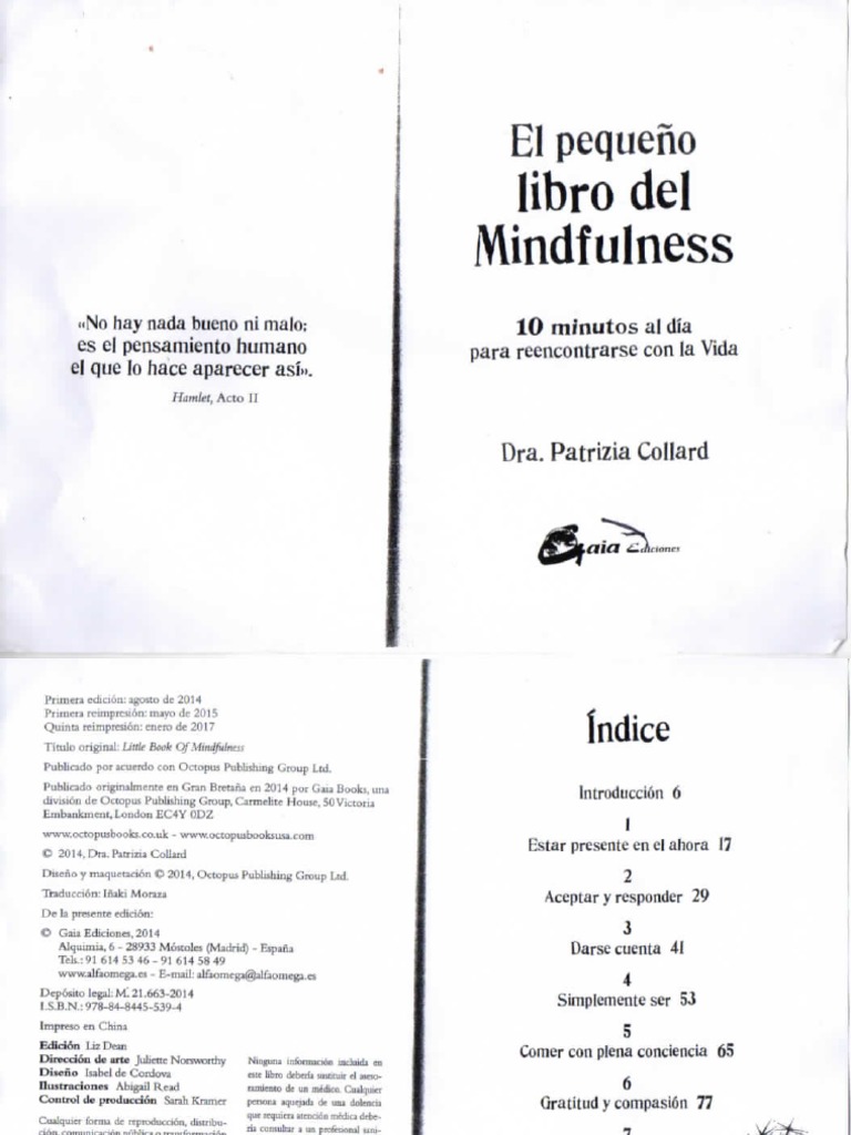 El Pequeño Libro De Mindfulness Pdf