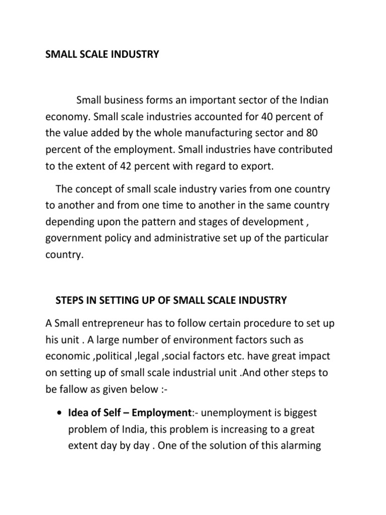 Problems of Small Scale Industries and Business Ideas in the Sector