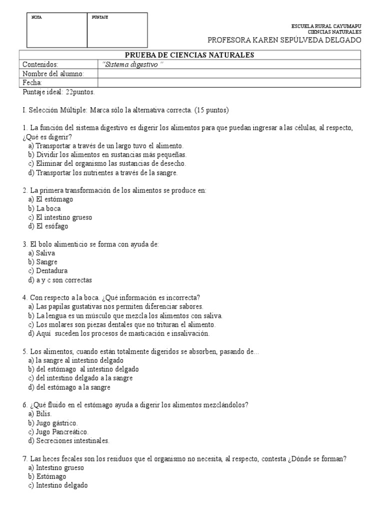 Prueba de Ciencias | PDF | Digestión | Sistema digestivo humano