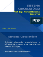 Sistema Circulatório1