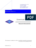 Tutorial_Downhole_ejercicios.pdf
