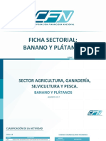 Ficha Sectorial Banano