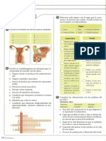 Taller Reproduccion Humana PDF
