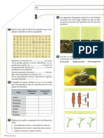 Taller Reproduccion Animales PDF