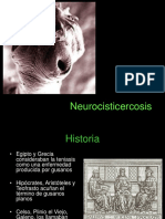 Neurocisticercosis