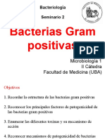 Seminario_2_Bacteriología_2°_Cuatrimestre_2017.pdf