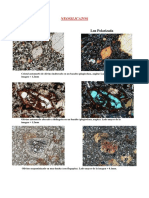 Optica Mineral PDF