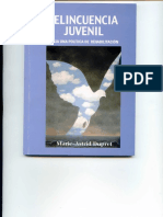 Delincuencia Juvenil.pdf