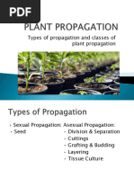 Plant Propagation Methods Explained | PDF | Grafting | Seed