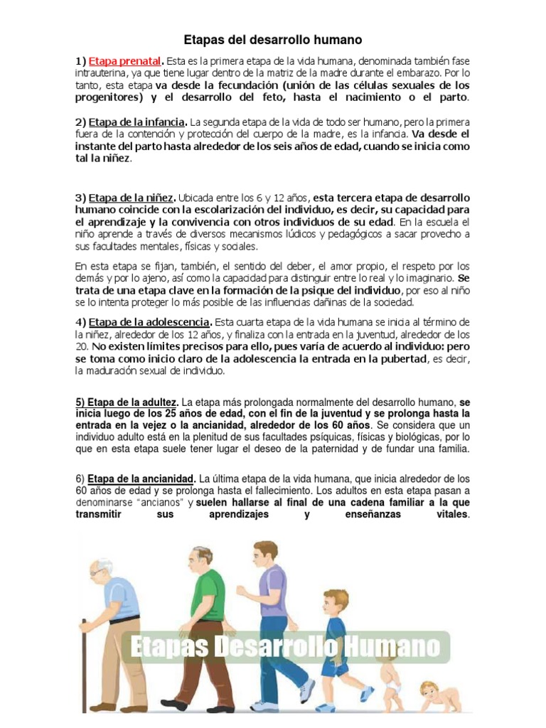 Etapas Del Desarrollo Humano | PDF | Adultos | Vejez