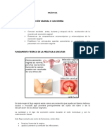 Practica-Microbiologia.doc