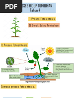 Proses Hidup Tumbuhan