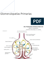 267979354-4-Glomerulopatia-Primaria.pdf