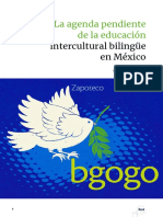 06Eje INEE educacion indigena.pdf