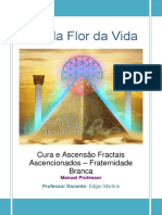 Cura-e-Ascensão-Fractais-Ascencionados-Fraternidade-branca.pdf