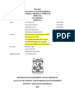 TM 4217 Natural Gas Engineering Weekly Project Topics #9 Pipeline "Ecopetro" Group