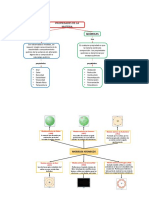 Mapa Conceptual