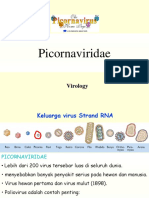 PicornaVirus