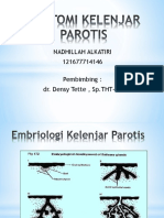 Anatomi Kelenjar Parotis