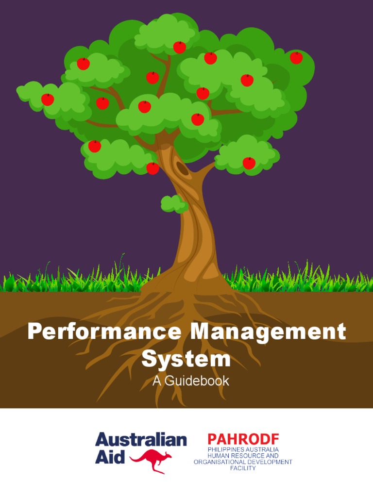 PERFORMANCE MANAGEMENT GUIDE PDF visual data 5