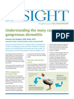 Avian Insight Dermatitis - Issue 4