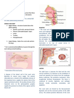 airway managment.pdf