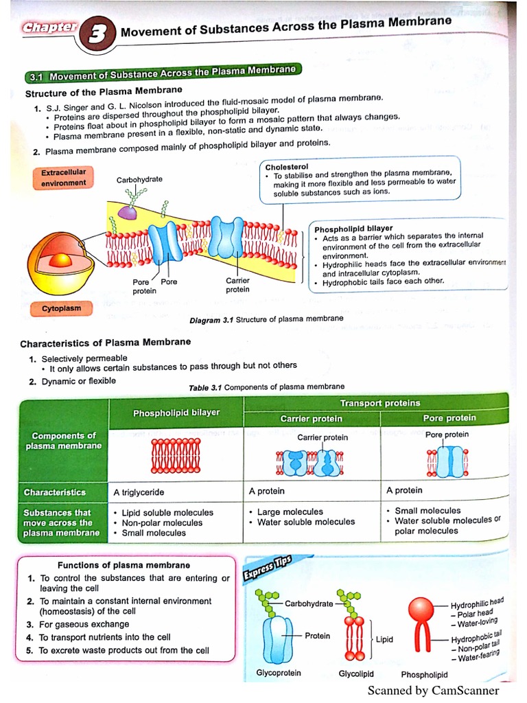 biology form 4 chapter 3 essay question