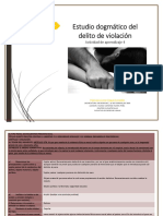 Estudio Dogmatico Violacion