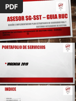 Asesor Sg-sst – Guia Ruc