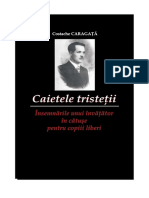 Caietele-Tristetii-pdf.pdf