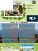 Naturaleza y Medio Ambiente Powerpoint 2