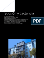 Succión y Lactancia - Flgo. Joel Castellano PDF