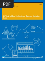 BusinessAnalyticsGuide PDF