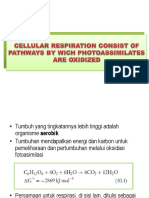 Cellular Respiration Consist of Pathways by Which Photoassimilates Are Oxidized