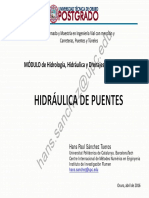 14-Hidraulica de Puentes.pdf