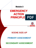 Emergency Action Principles