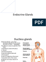 Endocrine - Pituitary Gland